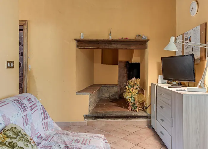 Lantgård Il Ponte - Frantoio Vicchio